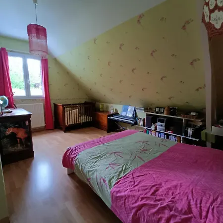Maison 4 Chambres Pour Les 24h Du Mans 別荘 Coulaines